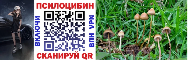 Купить где Мензелинск Галлюциногенные грибы MAGIC MUSHROOMS